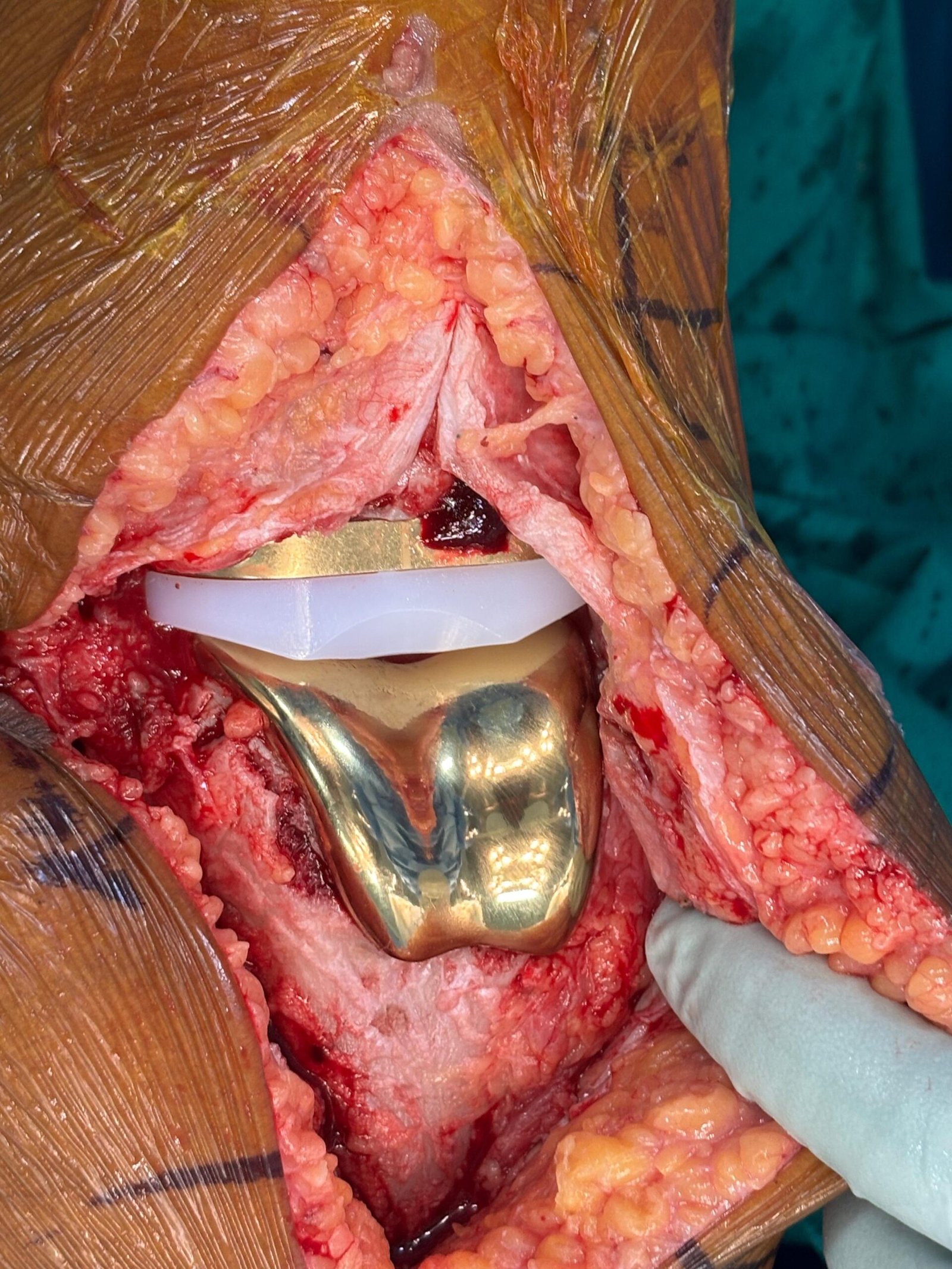 25b3e6c6-a4e6-4899-a41f-8f6529b5b433